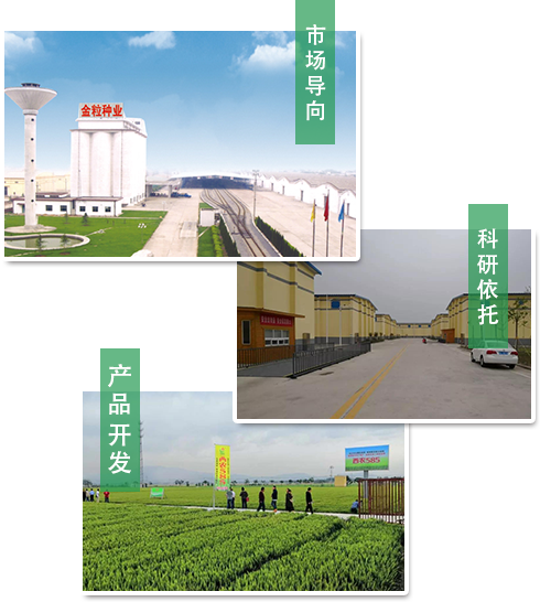 科研開發(fā)