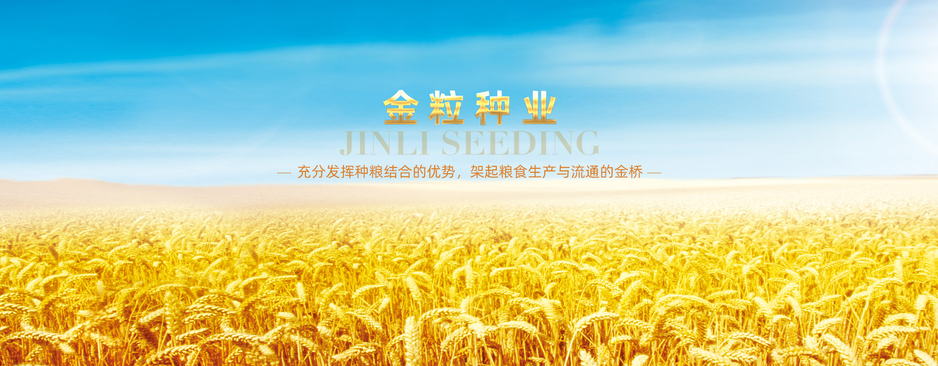 金粒種業(yè)